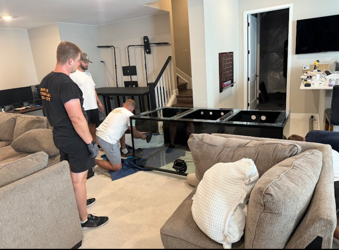 Moving Service 9